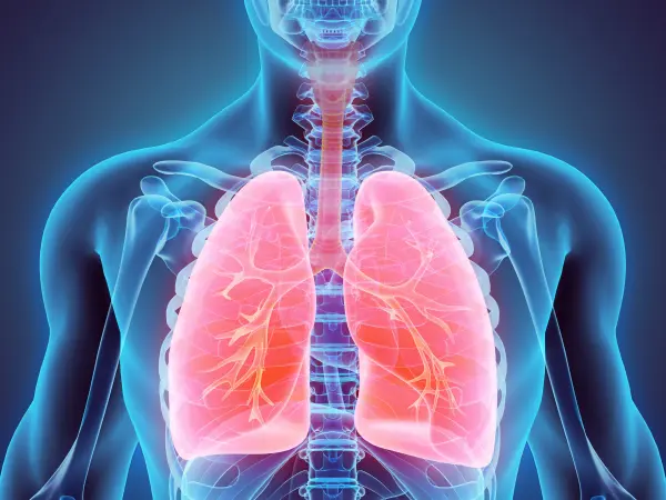 VITRO score dynamics as a predictor of post-liver transplantation outcomes